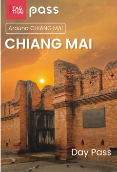 TAGTHAi Chiang Mai Pass